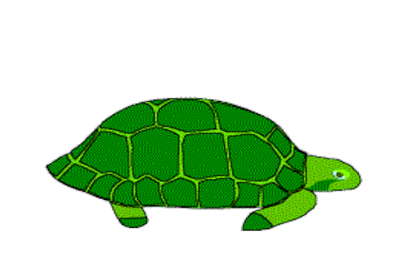 zolwzmlotkiem.gif (22414 bytes)